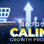 تقديم برنامج CALINA: تكريمًا ووعدًا مؤكدًا